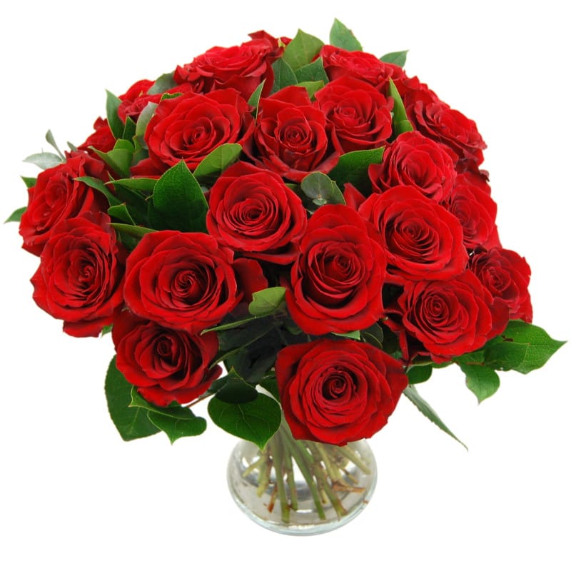 24 red roses flower bouquet valentines by clare florist