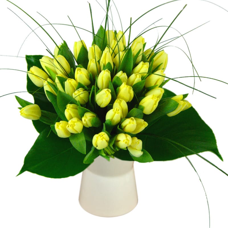 50 lemon tulips