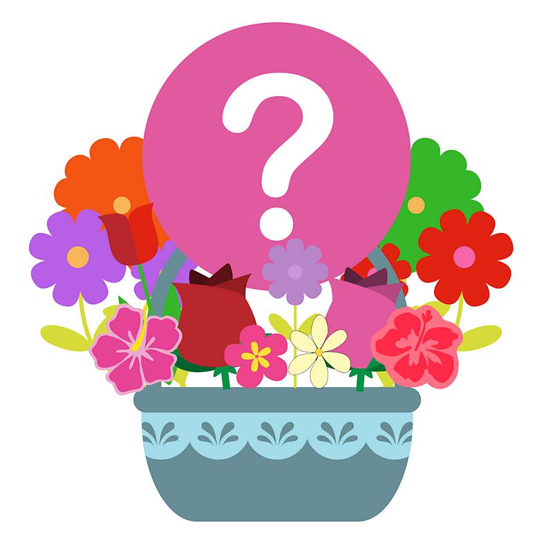 Mystery Mother's Day Flower Basket