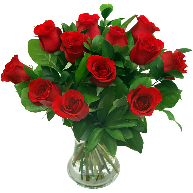 True Romance 12 red roses valentines day bouquet