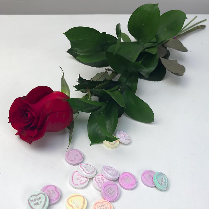 Letterbox Red Rose with Love Hearts