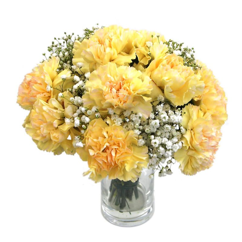 yellow carnations