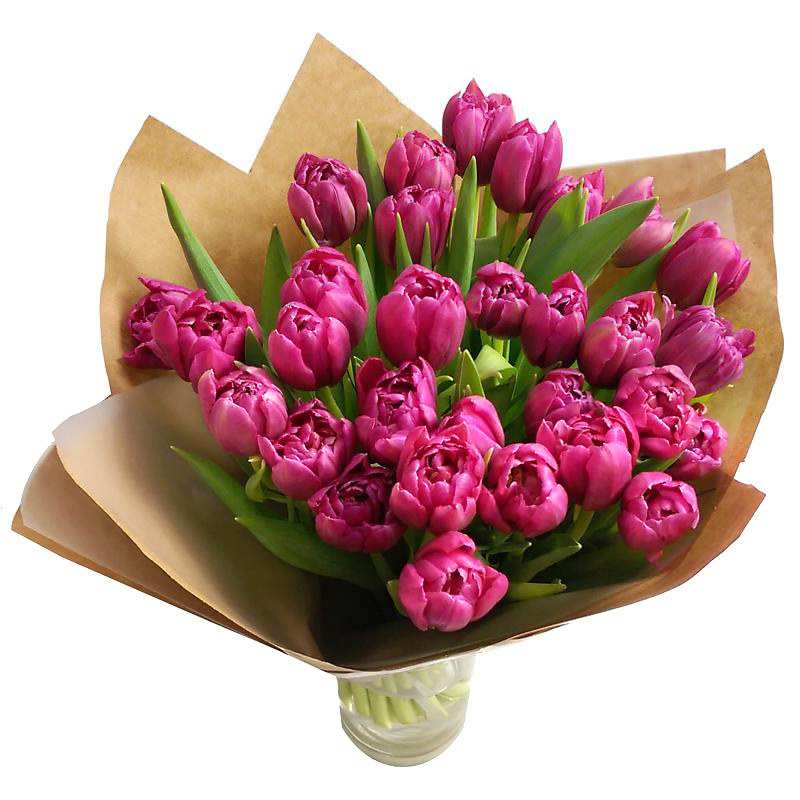 30 Pink Tulips