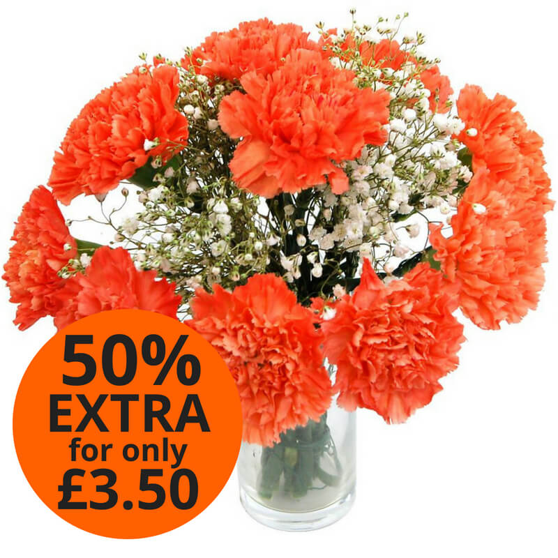 Orange Carnations