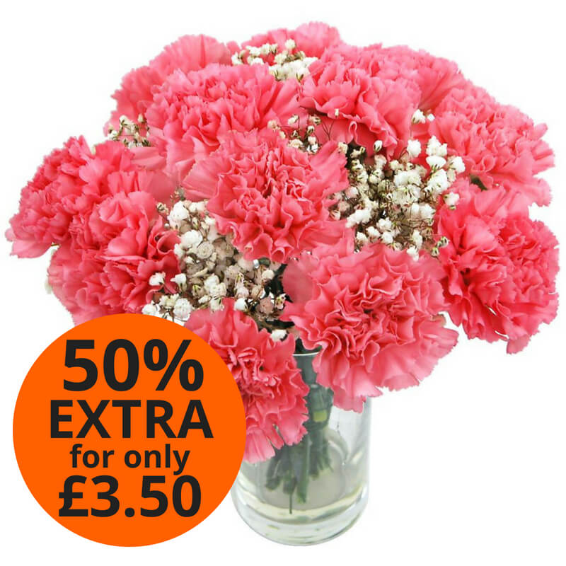 Pink Carnations