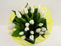 20 White Tulips