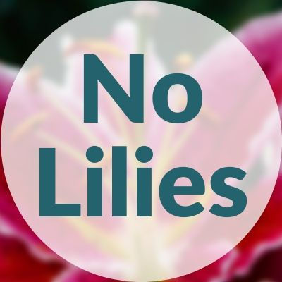 Do Not Include Lilies